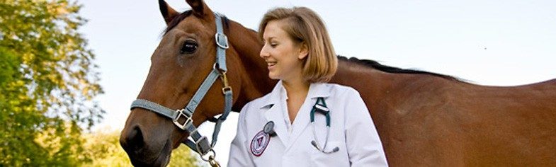 Veterinary Medicine | Office of University Scholarships and Financial Aid | Virginia  Tech